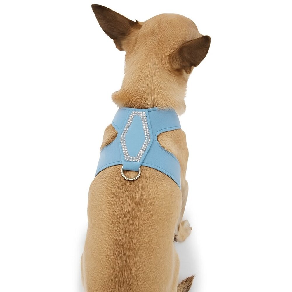 Top Paw Butterfly Harness Blue &Matching Leash XS